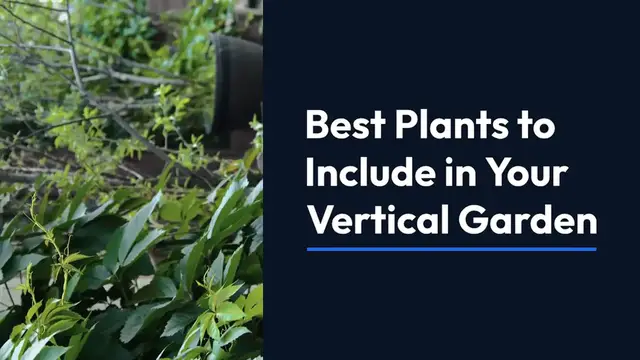 Video thumbnail for Vertical Gardening Tips for Beginners