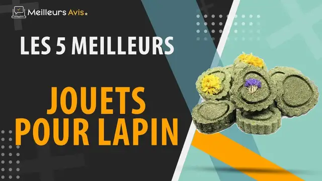 Video thumbnail for ⭐️ MEILLEUR JOUET POUR LAPIN - Avis & Guide d'achat (Comparatif 2023)