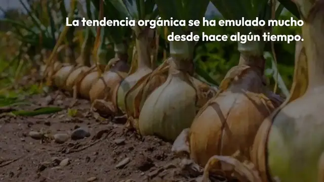 Video thumbnail for Rotación de cultivos: ¿por qué deberías evitar plantar tomates y cebollas en el mismo lugar?