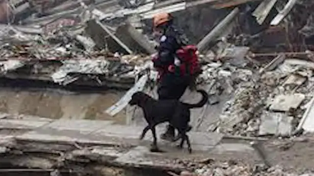 Video thumbnail for Suffolk SPCA rushed to Ground Zero to care for search-and-rescue dogs