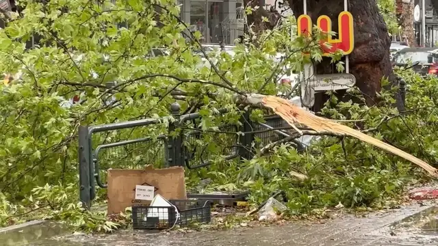 Video thumbnail for North Macedonia: Powerful storm leaves trail of damage across North Macedonia's capital.