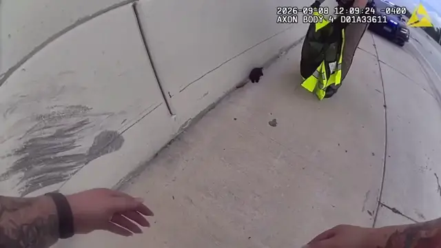 Video thumbnail for US: 5-Week-Old Kitten Rescued From Traffic On Busy Florida Interstate.