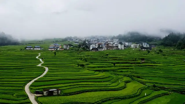 Video thumbnail for China: Terraced Fields 2.