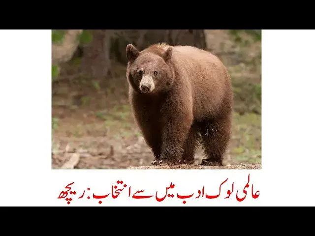 Video thumbnail for Famous Proverbs About Bear| Dr. Amjad Bhatti YT | #quotes #bear #proverbs #folk #folklore