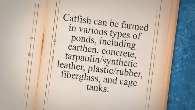 'Video thumbnail for 6 Easy Making Catfish Ponds to Farm'