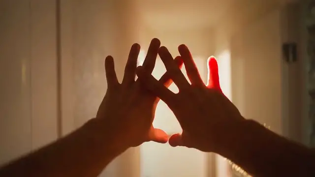 Video thumbnail for Tips for Planting Maranta Plants