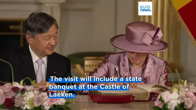 Video thumbnail for Japan's emperor and empress arrive in Belgium for state visit