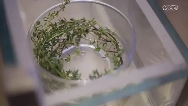 Video thumbnail for Pushing the Boundaries of Regional Indian Cuisine