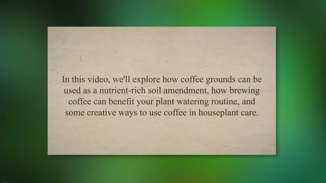 'Video thumbnail for Houseplants that like coffee'