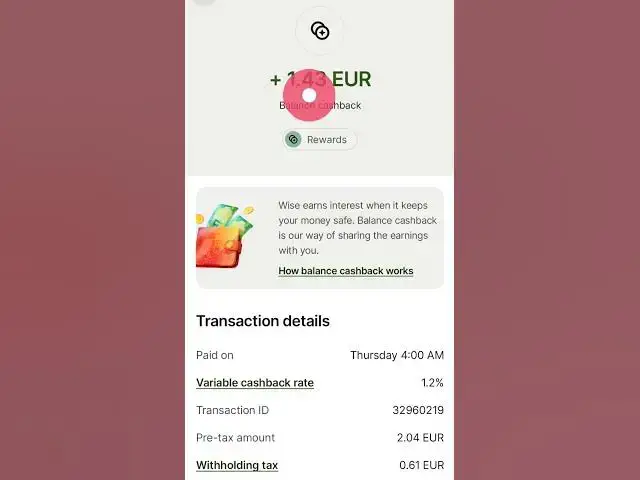 Video thumbnail for How Much Interest Wise Pays on Your Money 💰 | EUR, USD & GBP Explained (2025)