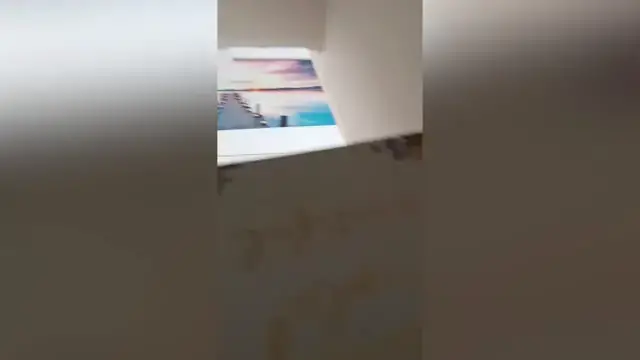 Video thumbnail for Girl Surprised With Sister News On Her Birthday | Happily TV