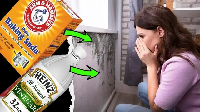 Video thumbnail for How to Get Rid of Black Mold on Walls with 6 Natural Effective Solutions (MOULD)