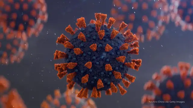 Video thumbnail for Trump admin task force weighing declassifying COVID-19 origins info