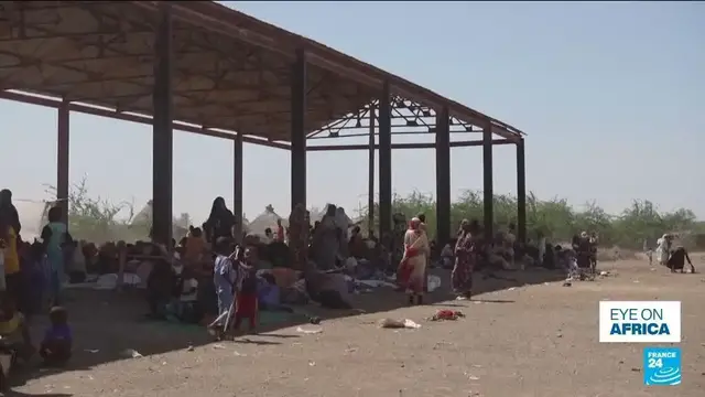 Video thumbnail for Sudan accuses UAE of fueling Darfur 'genocide'