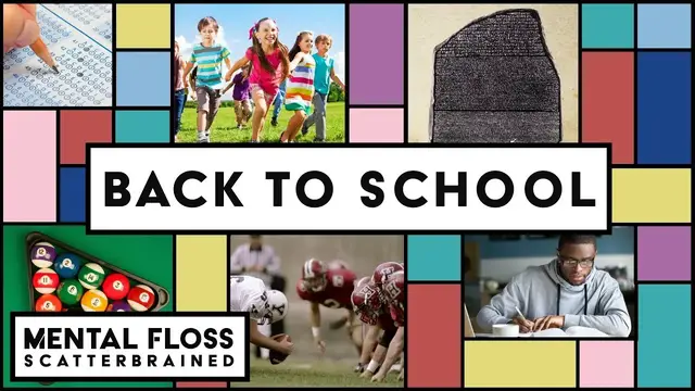 Video thumbnail for The Surprising History of School! - Mental Floss Scatterbrained | Mental Floss
