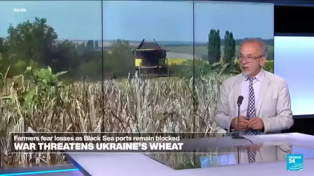 Video thumbnail for Ukraine war: Grain attacks raise food price fears