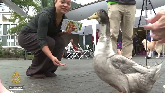 Video thumbnail for Foie gras debate goes to the ballots: Voters to decide foie gras ban on November 3