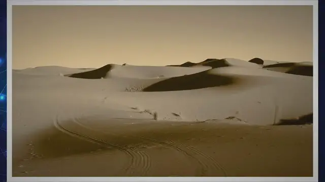 Video thumbnail for Camel Adaptations In The Desert and Their Importance