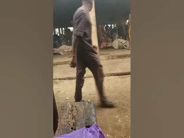 Video thumbnail for We are active