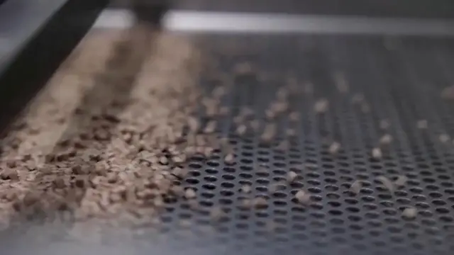 Video thumbnail for China: China's sweet bamboo products sprout globally.