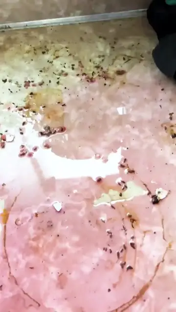 Video thumbnail for TOXIC KITCHEN CLEANING__⚠️🧼 Extreme mouse dropping clean 🐭(720P_60FPS)