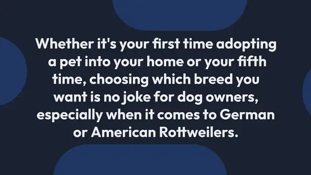 Video thumbnail for Why do dogs chase their tails?