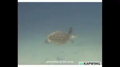'Video thumbnail for Amazing Palawan Introduction'