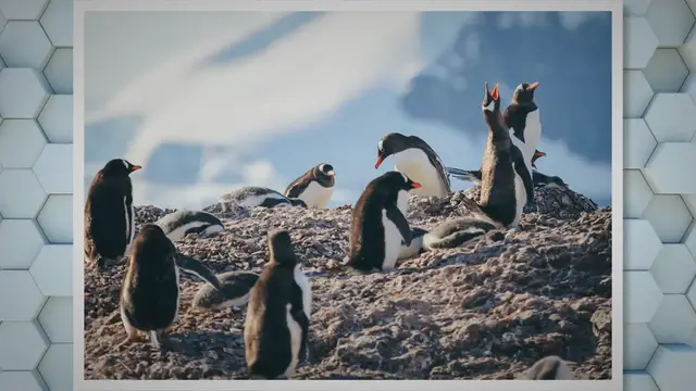 Video thumbnail for Interesting Facts About the Polar Regions