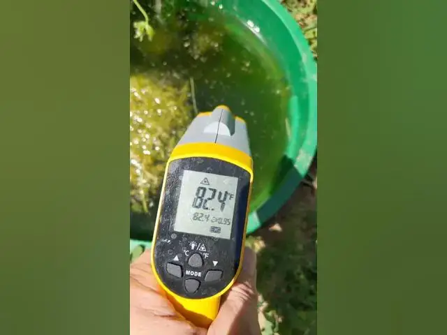Video thumbnail for Outdoor Fishkeeping Temperature Check #shorts
