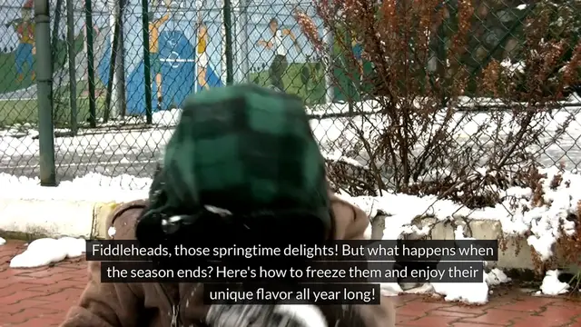 Video thumbnail for How to Freeze Fiddleheads