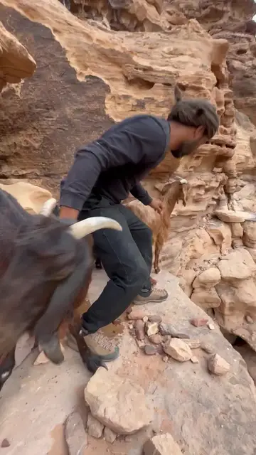 Video thumbnail for Climber Rescues Goats from a Perilous Desert Cliff Ledge