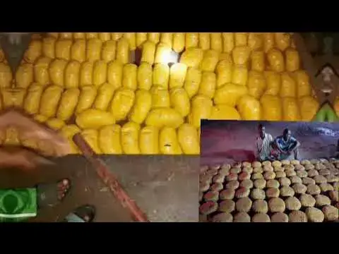 'Video thumbnail for Army Arrests 2 Suspects Transporting Cannabis From Ghana To Nigeria ~ OsazuwaAkonedo'