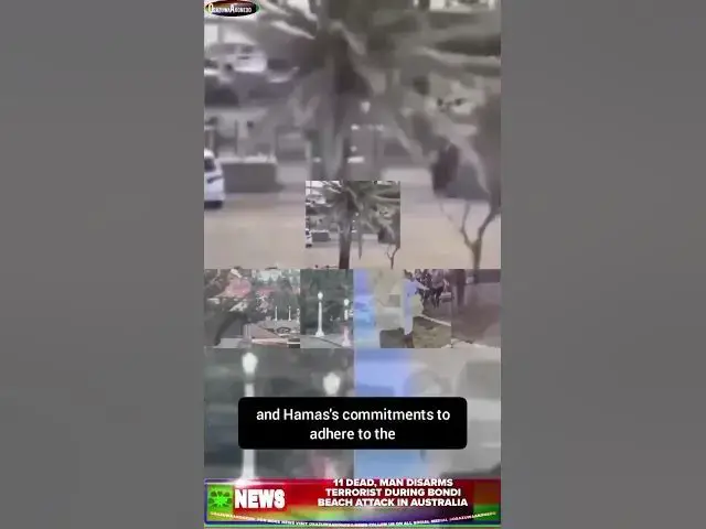 Video thumbnail for 11 Dead, Man Disarms Terrorist During Bondi Beach Attack In Australia