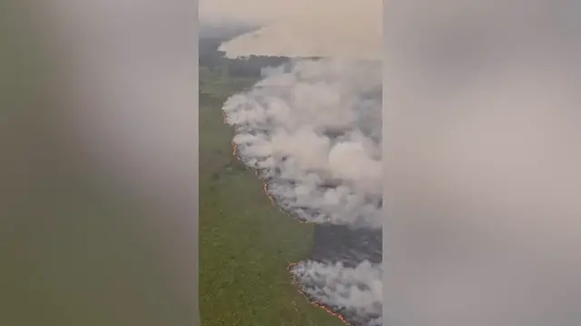 Video thumbnail for Belgium: Dutch Chinook helicopters support wildfire response in Belgium.