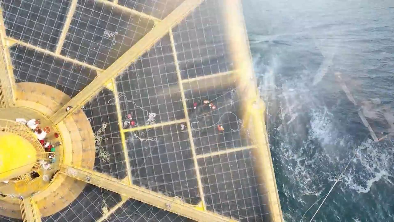 Video thumbnail for China: AI-powered aquaculture farm produces 3,000 tons of salmon annually in E China.