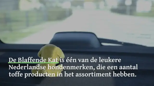 Video thumbnail for De Blaffende Kat: Vind hier de leukste hondenspullen van dit merk!