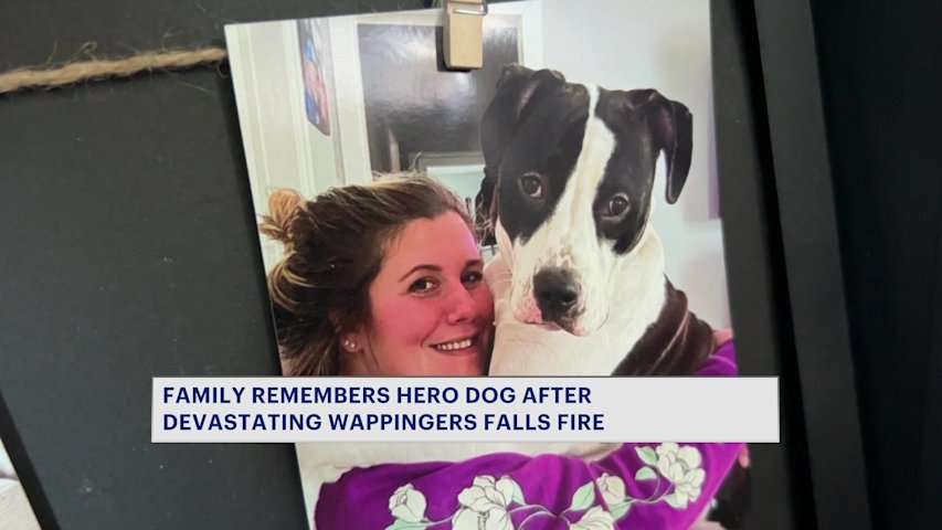 Video thumbnail for Wappingers Falls couple says their dog saved their lives as fire took over their home