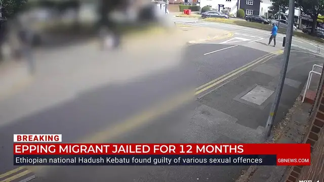 'Video thumbnail for WATCH: Barrister explodes at 'lenient' Sentencing Council as Epping migrant handed 12-month sentence'