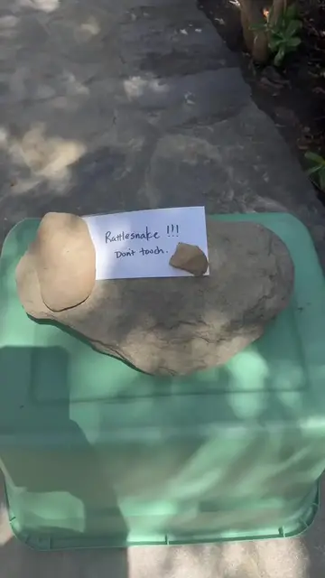 Video thumbnail for Rattlesnake Rescue from a Quiet Monastery Courtyard
