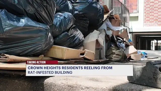 Video thumbnail for Crown Heights residents reeling over rat and roach Infestation in apartment building