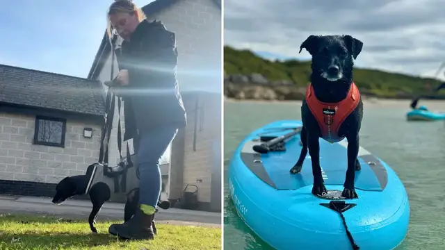 'Video thumbnail for Owner Carries Dog Suffering From Paralysis For Three Months To Help Her Walk Again'