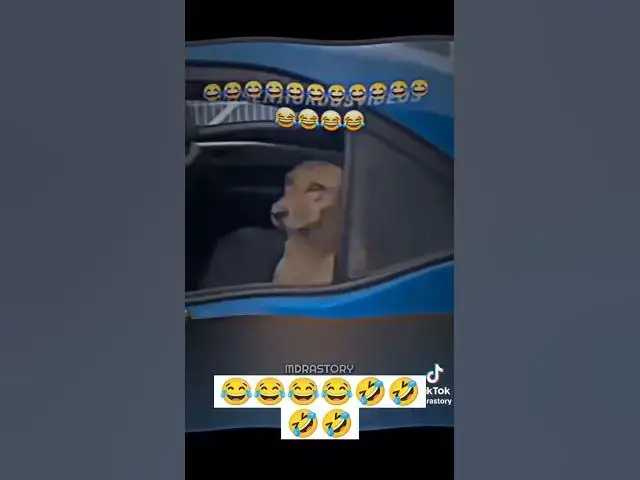 'Video thumbnail for #shots #funny #comedy'