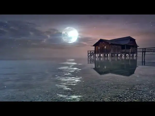 Video thumbnail for Cabin Cottage Hut Forest