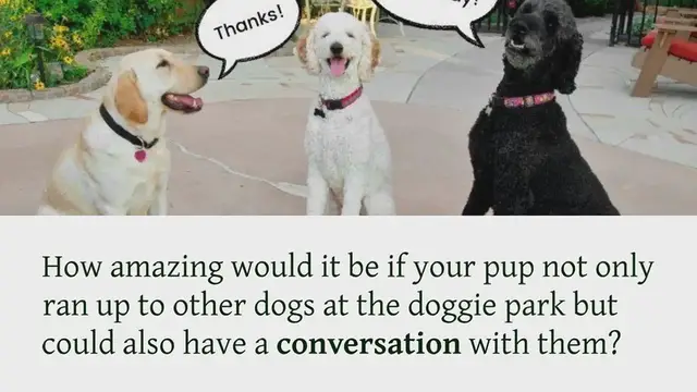 Video thumbnail for Do dogs talk to each other?