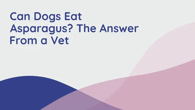 Video thumbnail for Can Dogs Eat Asparagus? The Answer From a Vet