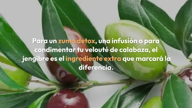 Video thumbnail for ¿Cómo cultivar jengibre en maceta para tenerlo disponible gratis todo el año?