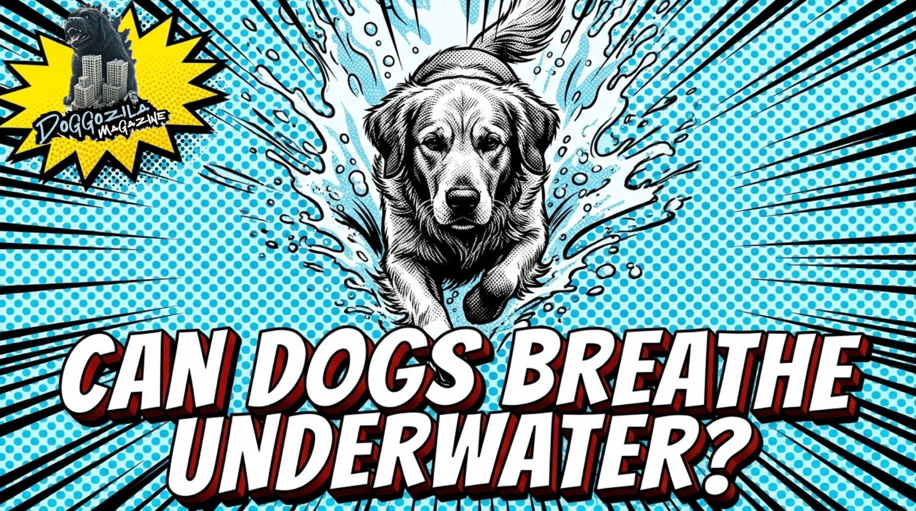 Video thumbnail for Can Dogs Breathe Underwater?