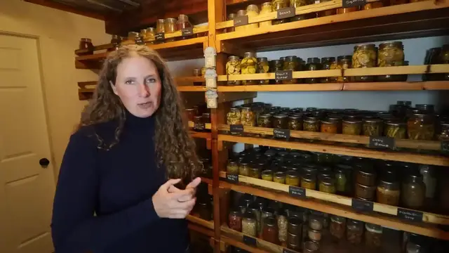 Video thumbnail for Pantry Tour   Planning for a Year of Food   What I ll Can Again (and What I Won t )(720P HD)