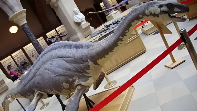 Video thumbnail for A closer look at the real animals behind the world's legendary beasts