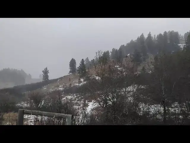 Video thumbnail for SNOW FOR CHRISTMAS 2020